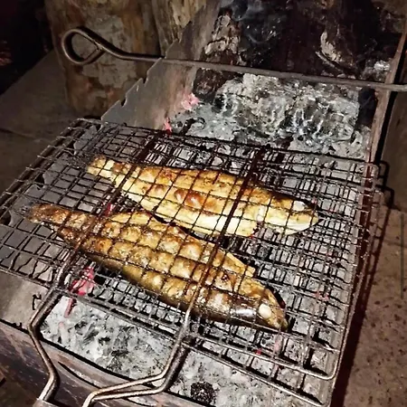 بيت خشبي Kolo Druziv *