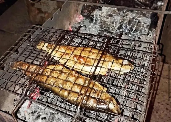 بيت خشبي Kolo Druziv *