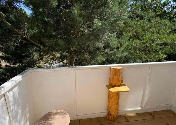 山林小屋 科洛德瑞兹弗山林小屋