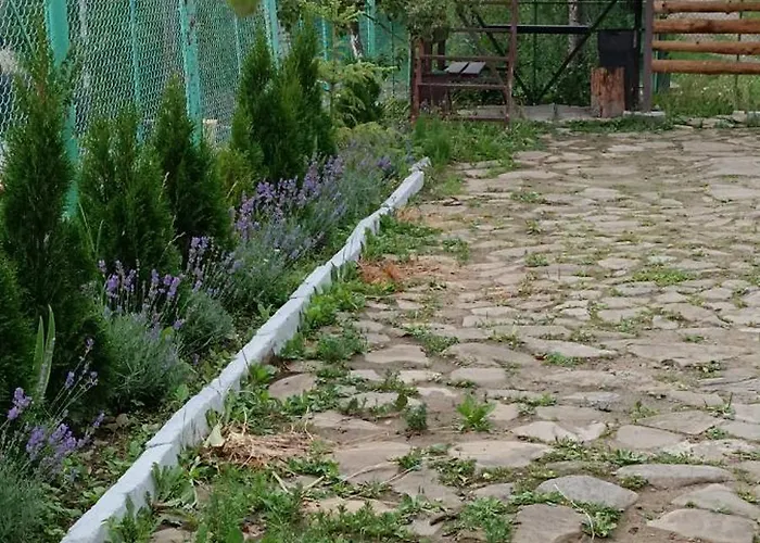 山林小屋 科洛德瑞兹弗山林小屋 *